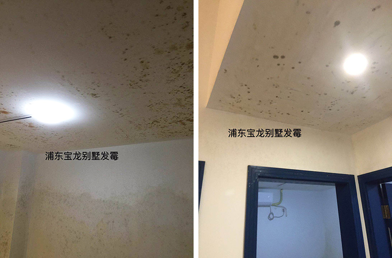 别墅地下室发霉 别墅地下室发霉